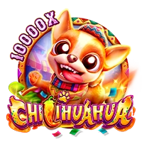 CHILIHUAHUA - HIGHBET33