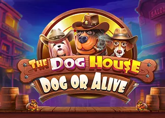 The Dog House - Dog or Alive - HIGHBET33
