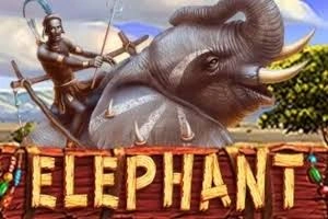 PLAYSTAR : ELEPHANT - HIGHBET33