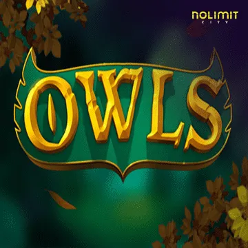 Owls - HIGHBET33