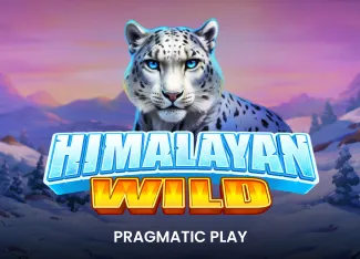 Himalayan Wild - HIGHBET33