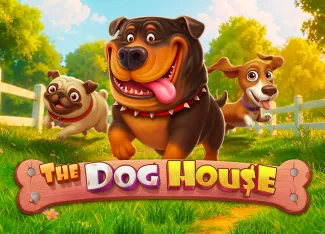 The Dog House - HIGHBET33
