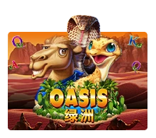 Oasis - HIGHBET33